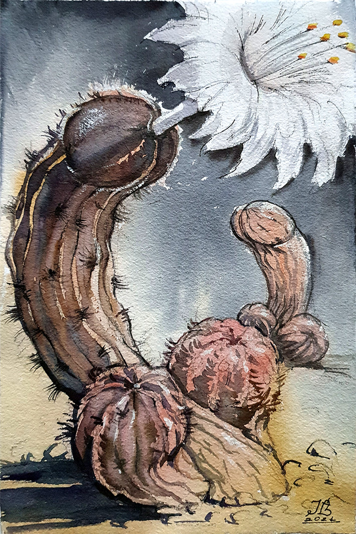Art Gay Erotic Watercolor «Cocktus» ( flower, humor ) 11,6-7,9 in.I.Bubentcov