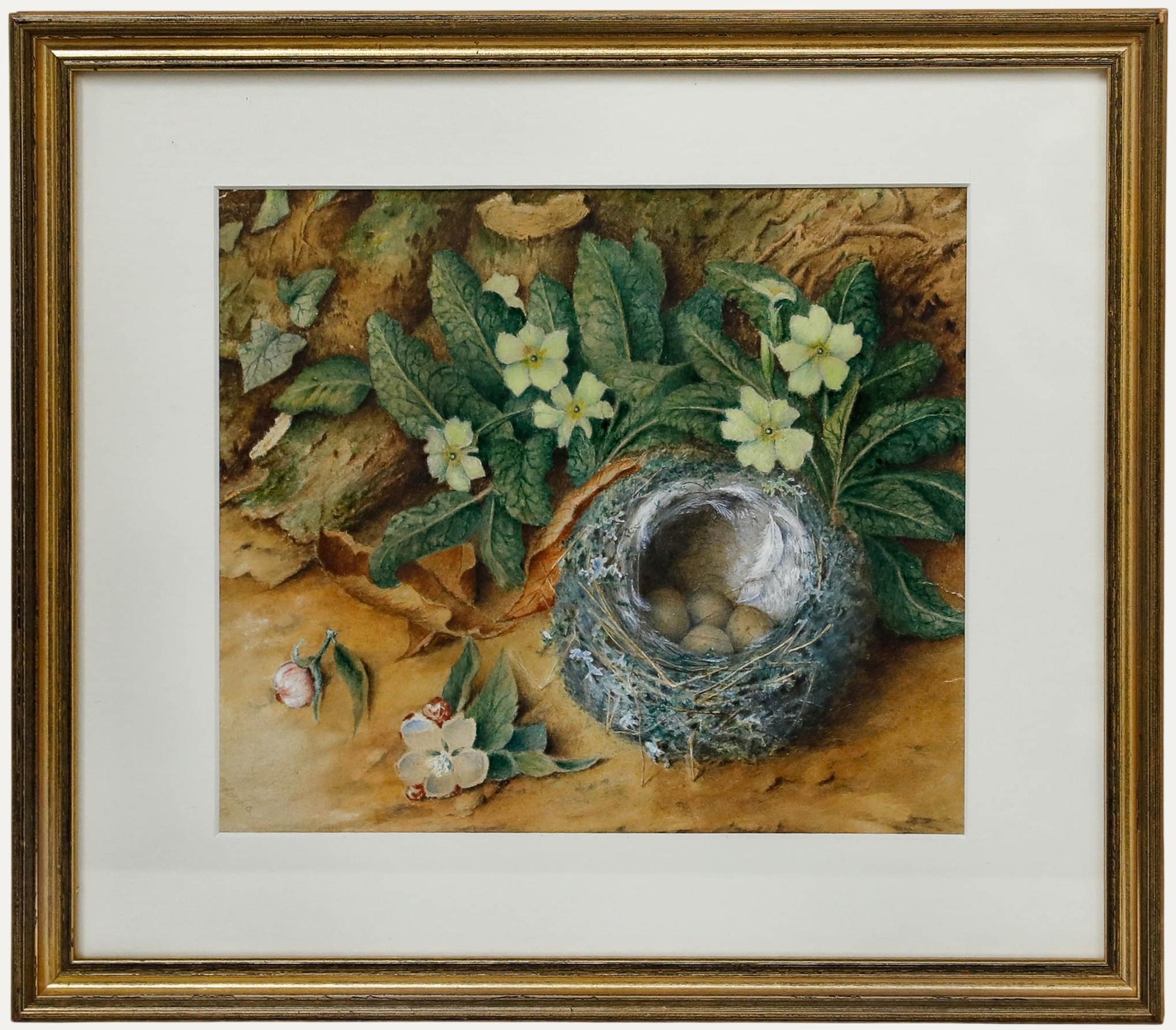 E. P. Young – Framed 19th Century Watercolour, Still Life of a Bird’s Nest