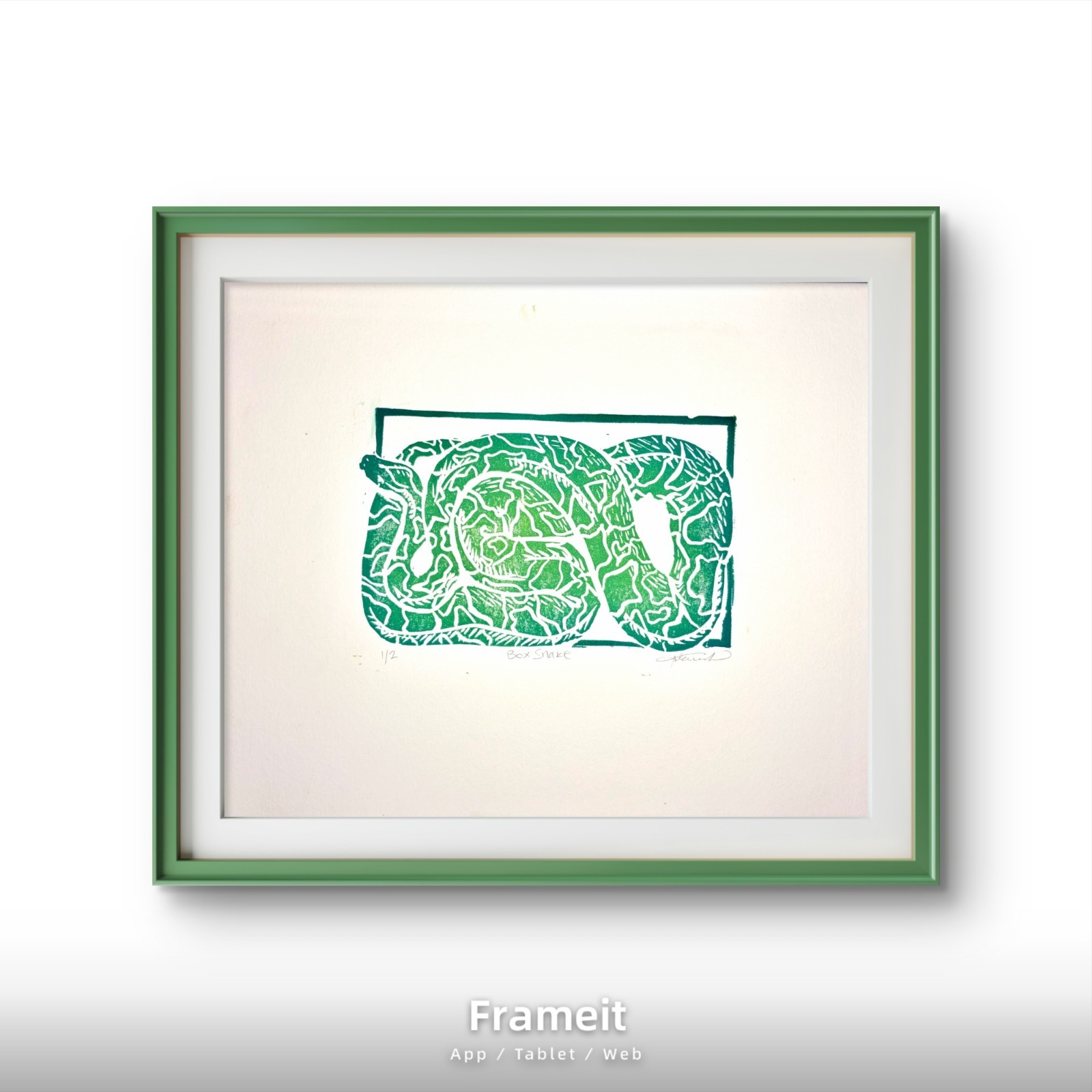 Original Green Box Snake 1 Linocut Print By Alannah Dyer- Acrylic 8×10 in Animal
