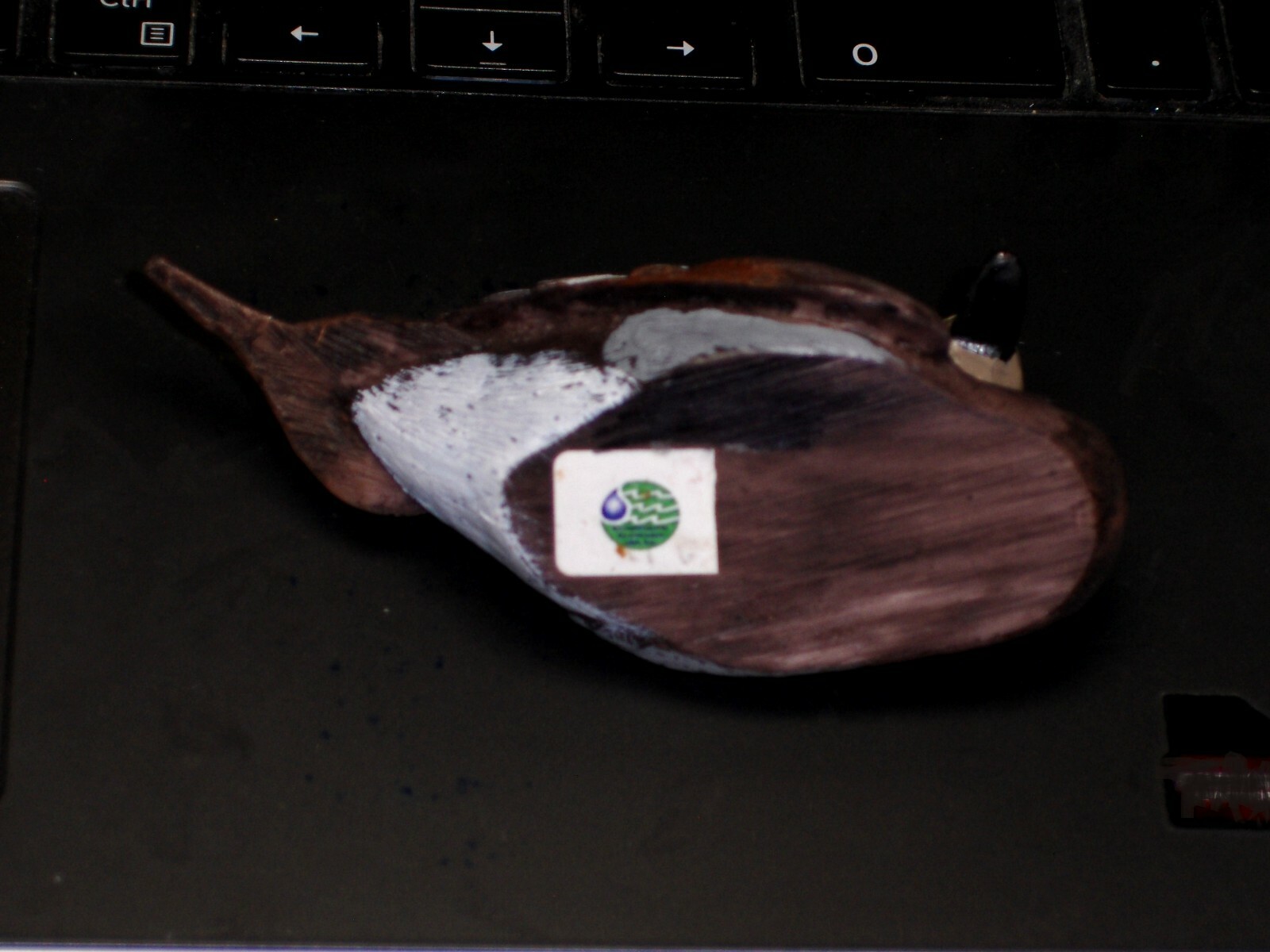 Little Wild Duck Gorgeous Hand Painted Decoy Art Nature’s Window R. Desjardins
