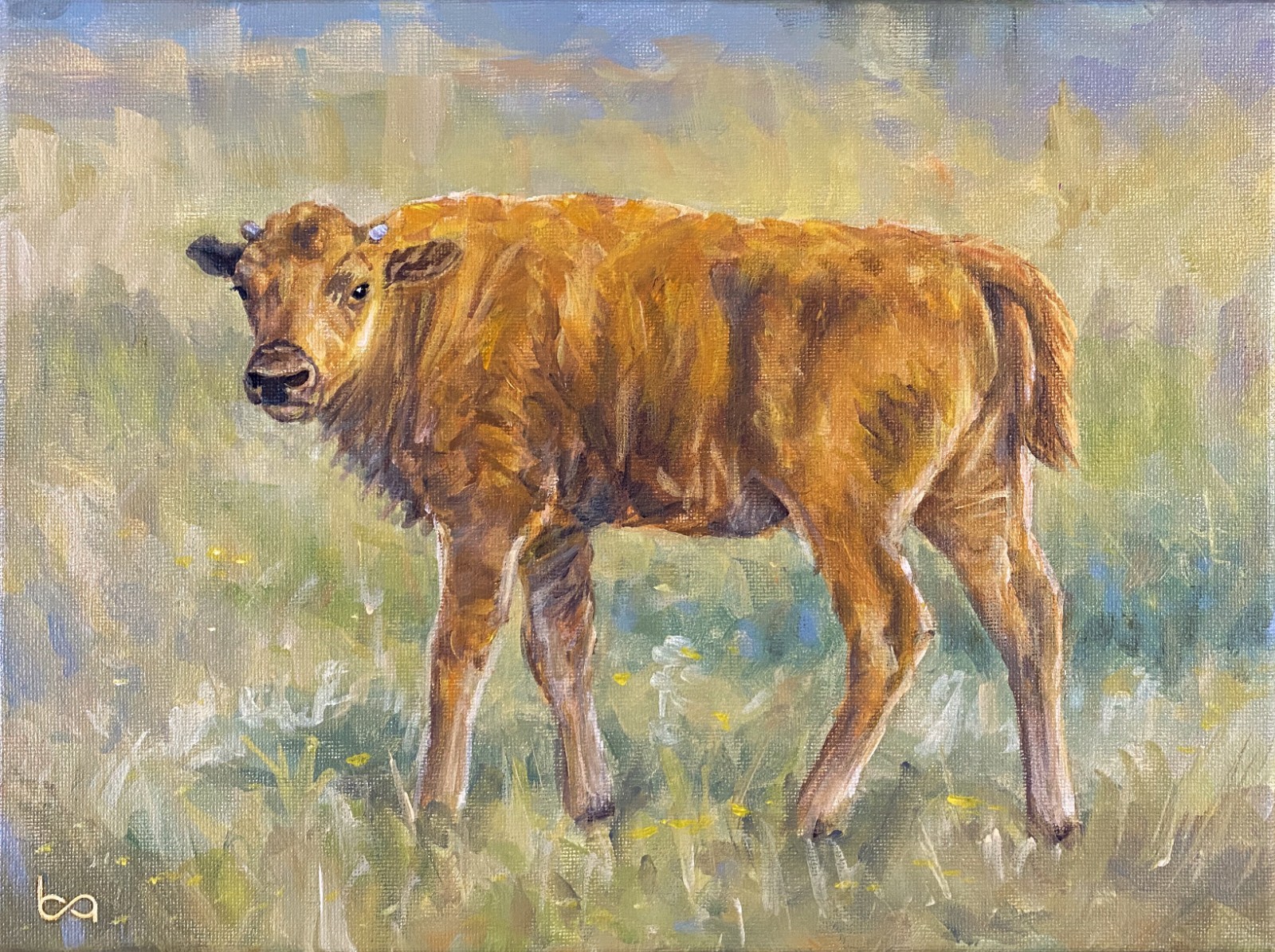Original Bison Calf Painting 9×12″ Western Wildlife Art – Buffalo Acrylic