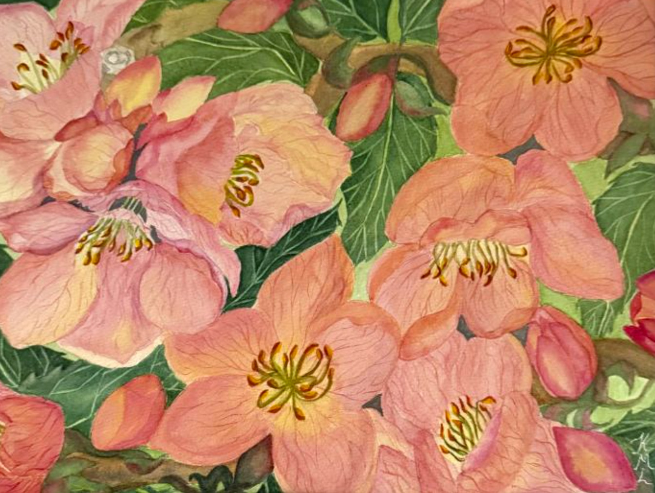 PAINTING WATERCOLOR 11X14 & DOUBLE MAT 16X20 FLOWERS PEACH BLOSSOM CORAL ORANGE