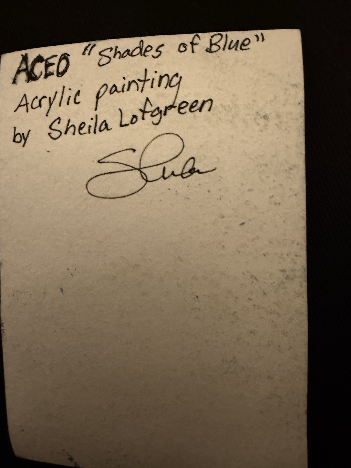 ACEO “Shades Of Blue” Stellers Jay Acrylic Painting By Sheila Lofgreen