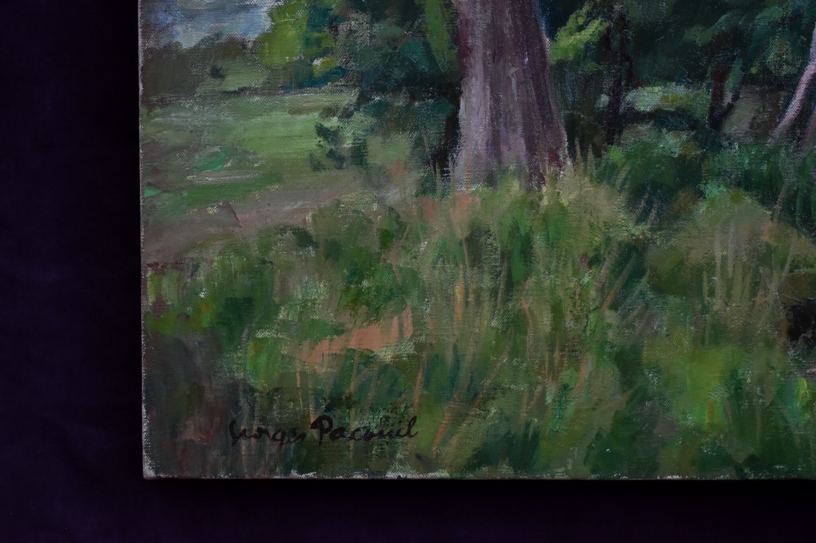 1950 Forest Stream Landscape Oil Painting French Provence Signed Georges Pacouil