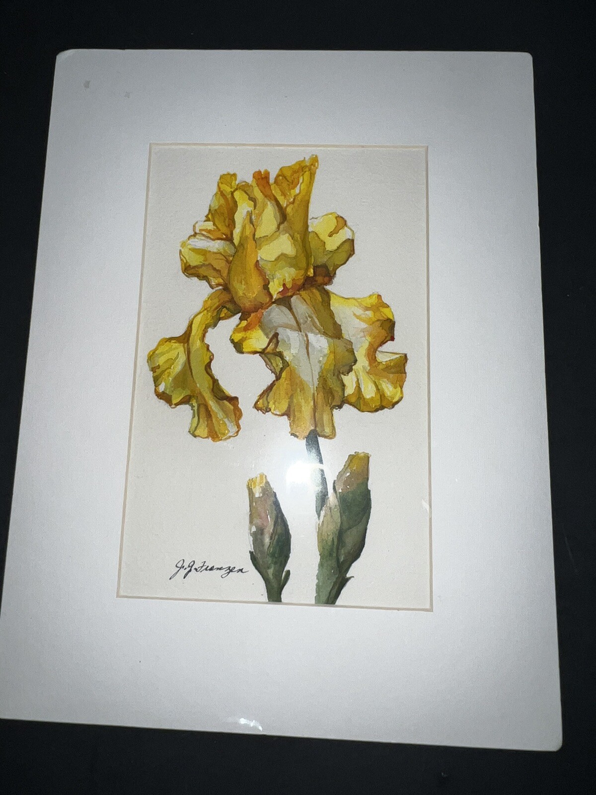 Origanal Artwork Watercolor Joan Grommes Franzen Yellow Irises Flowers