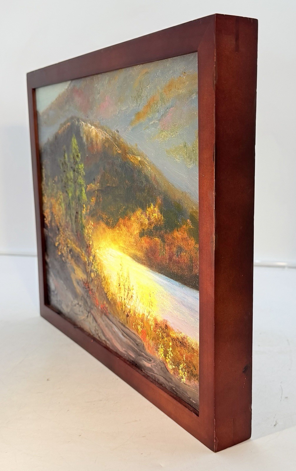 Original Framed Oil Painting By Artist Kathy Fox “All The Light That Shines”