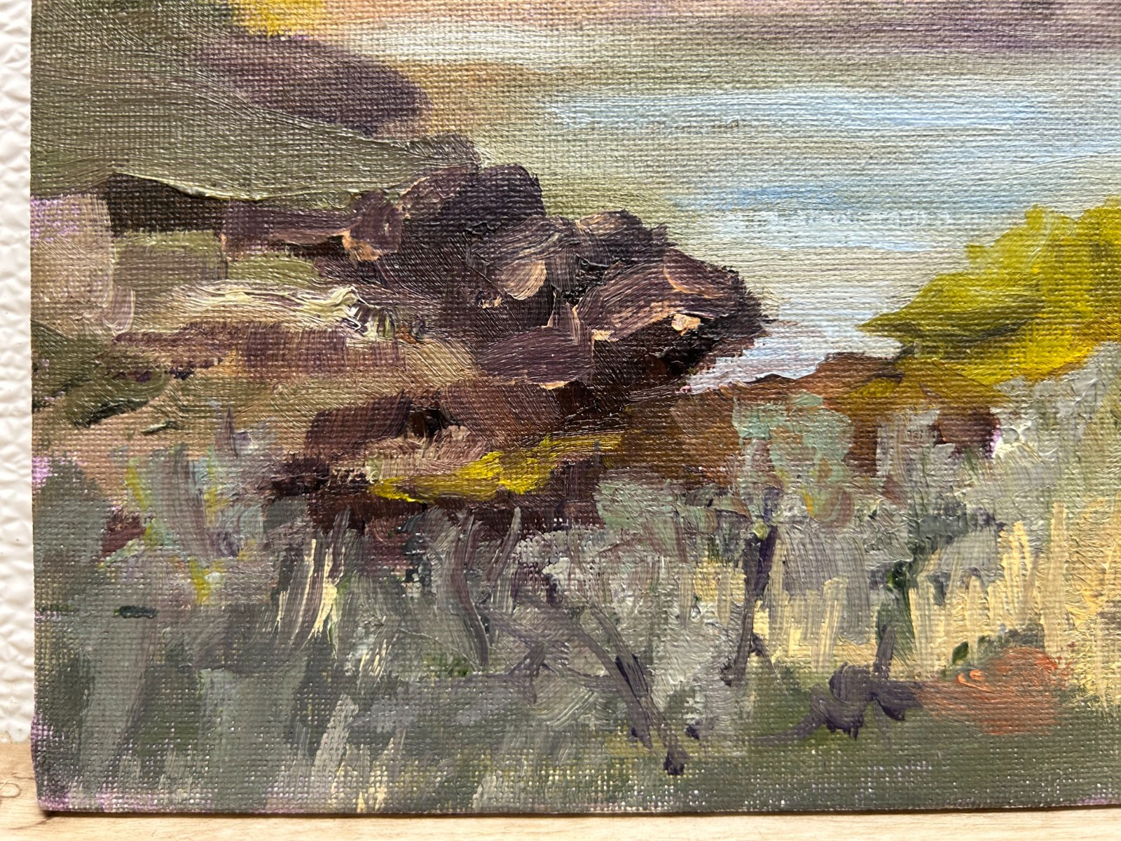 Vtg Authentic Oil Painting Summer Mountain Lake Landscappe Paysage By Mary Wolfe