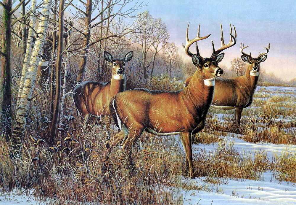 Wall Art Canvas Print Deer Animals Oil painting Giclee Printed on canvas P364