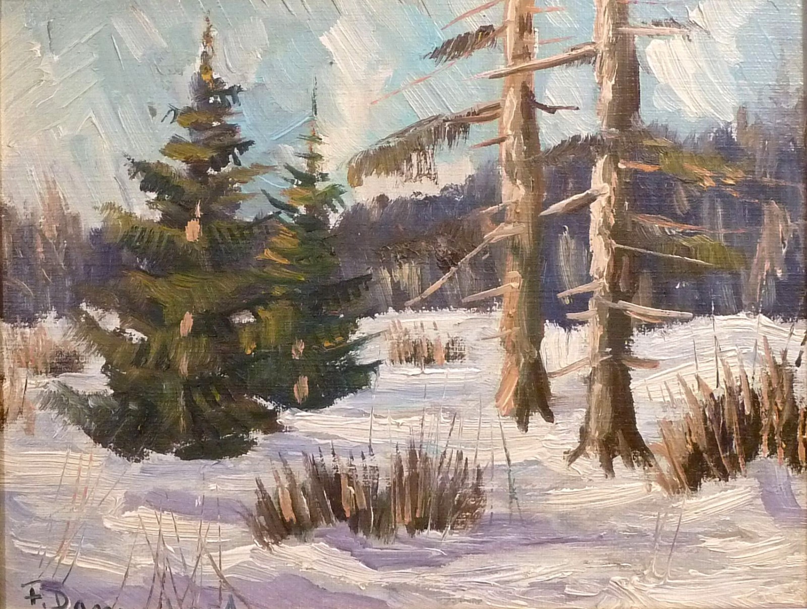 FINN DANNERFJORD! LANDSCAPE WITH TREES COVERED IN SNOW.