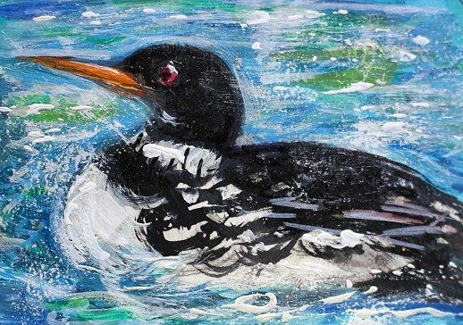 ORIGINAL ACEO Painting LOON Water Black BIRD Spring Summer Lake Nature Pond ART