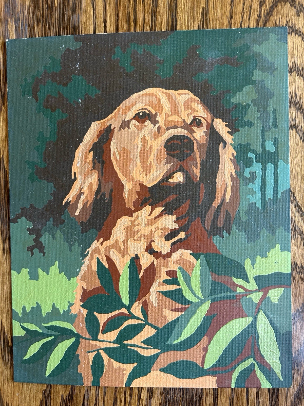 Vtg 8 X 10” Paint By Number Artwork. Golden Retriever Dog In Woods