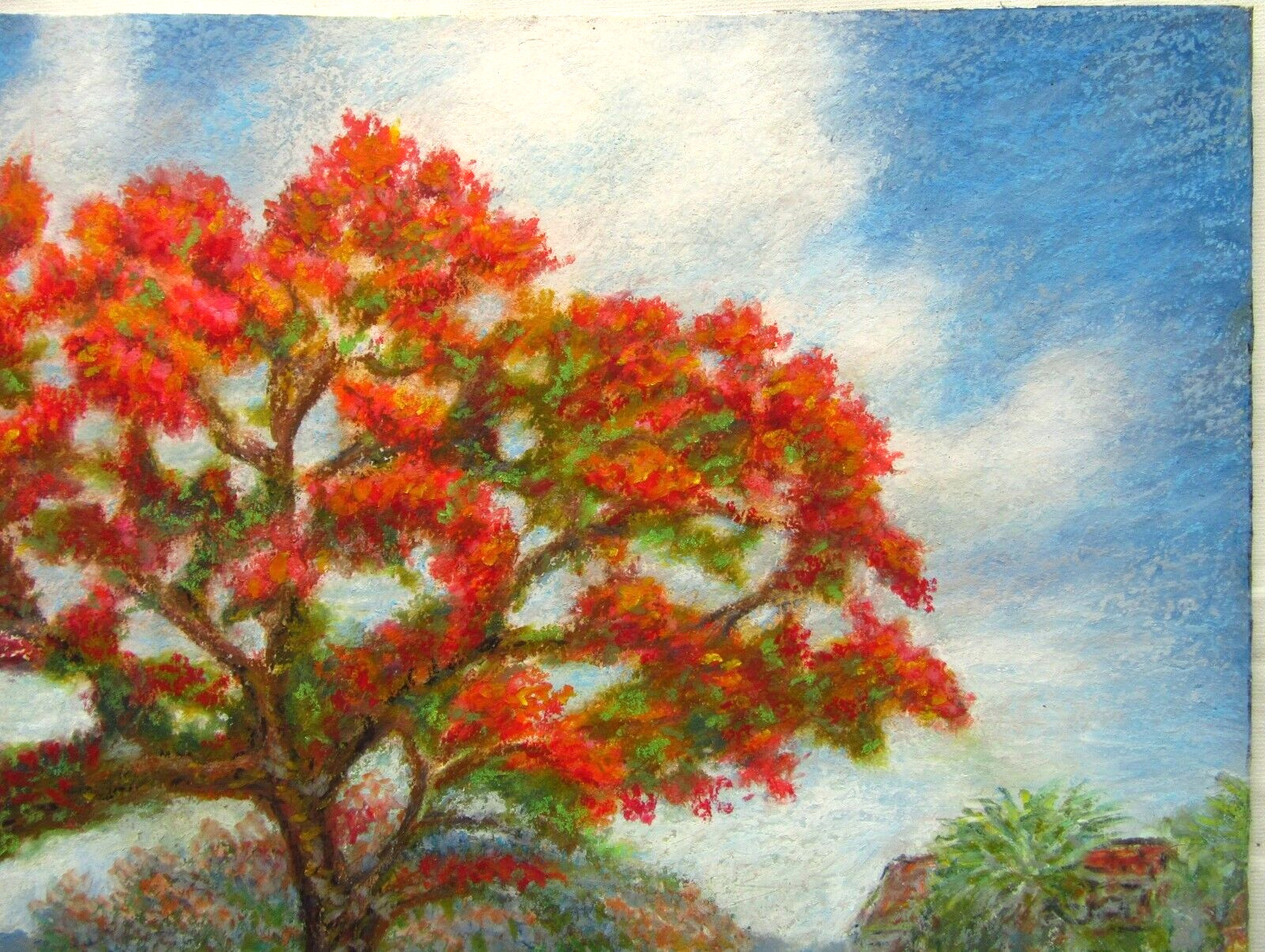 Original Oil Pastel Painting Art Florida Landscape Royal Poinciana Tree Garden