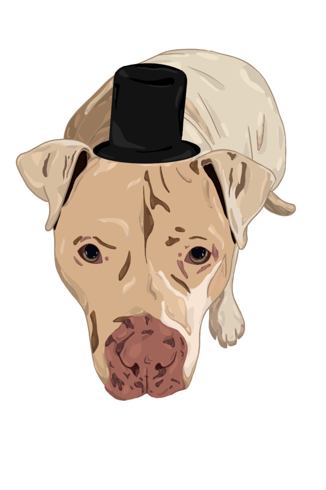 Dog Portraits