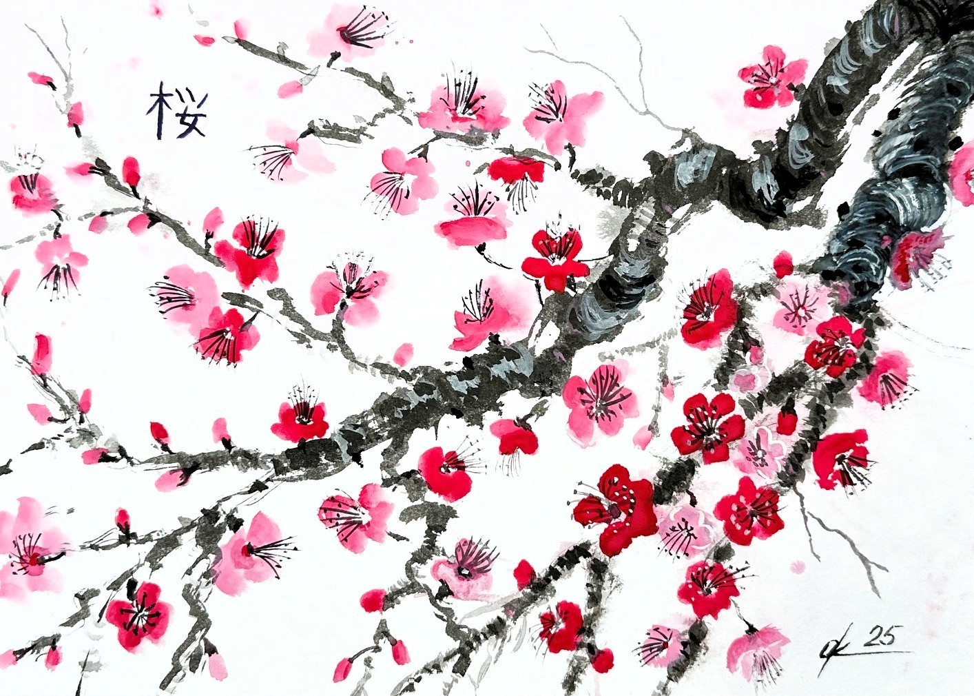 Cherry Blossom branch sakura japanese chinese brush sumi-e Original kitchendecor