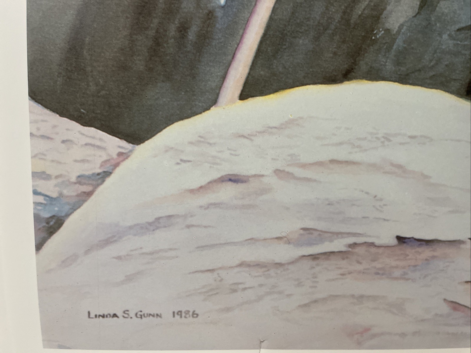 Cabrillo «After The Storm»1986 California Signed Linda Gunn 28.5″X20»