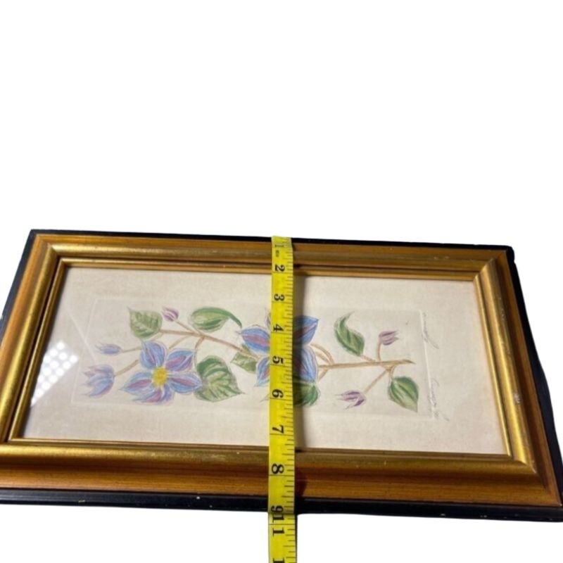 Vintage Original Flowers Drawing signed and named by the Artis 9 x 15 in