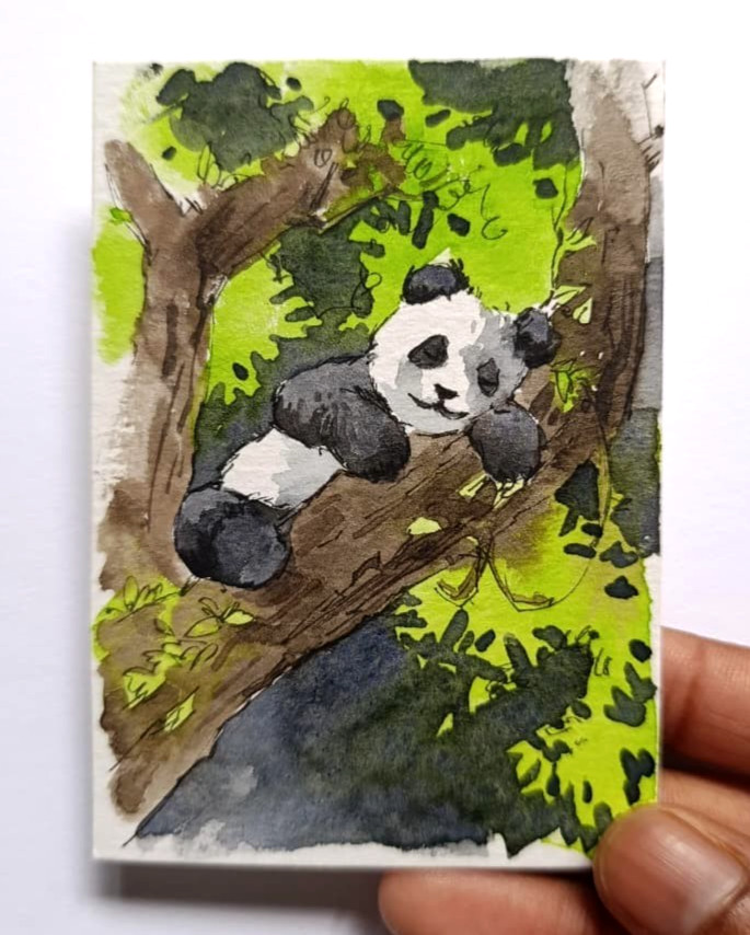 Original Watercolor Painting ACEO OOAK Sleeping Panda Bear Tree Cute Animal Art