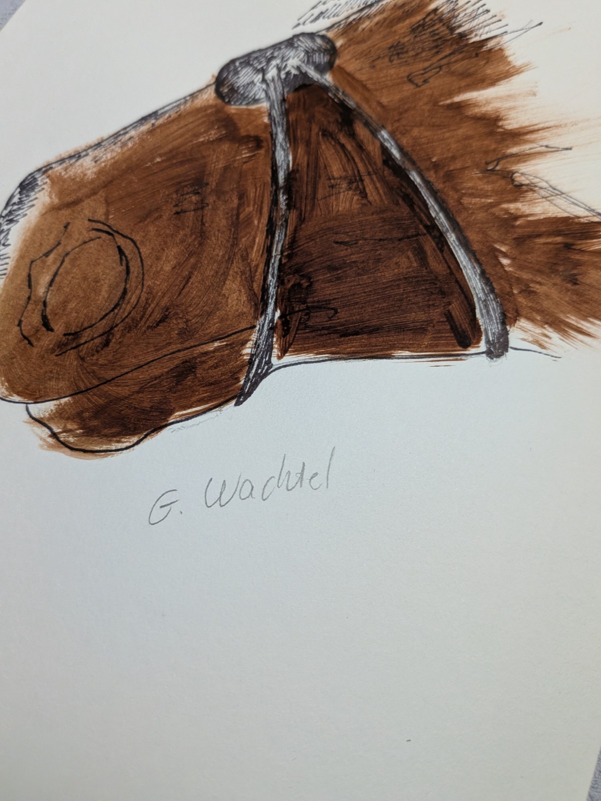 Original Horse Head Painting 8.5×5.5 Paper Brown Bridle Tack Portrait Wachtel
