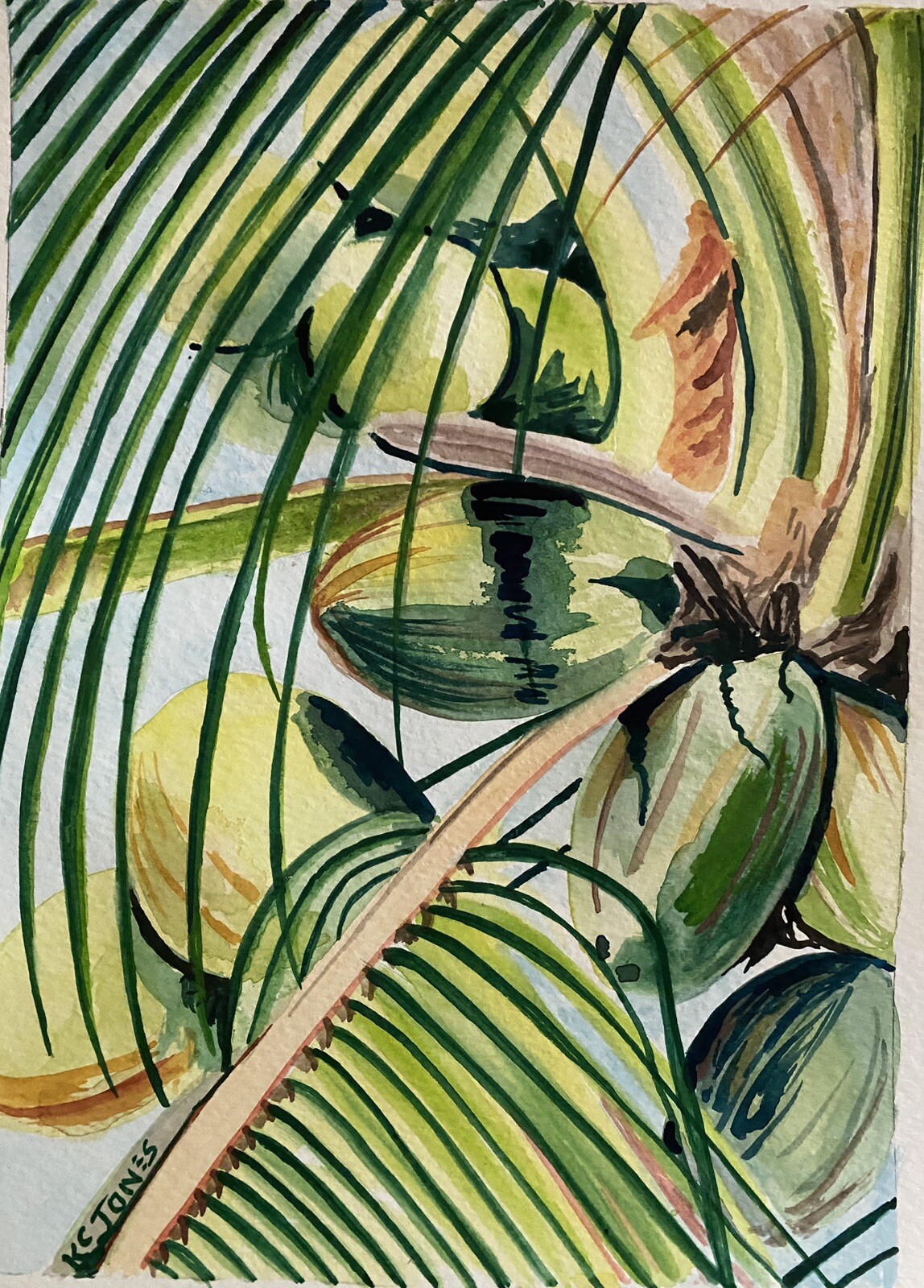 COCONUT PALM | botanical Painting Tropical Watercolor art Kristi C Jones Tree