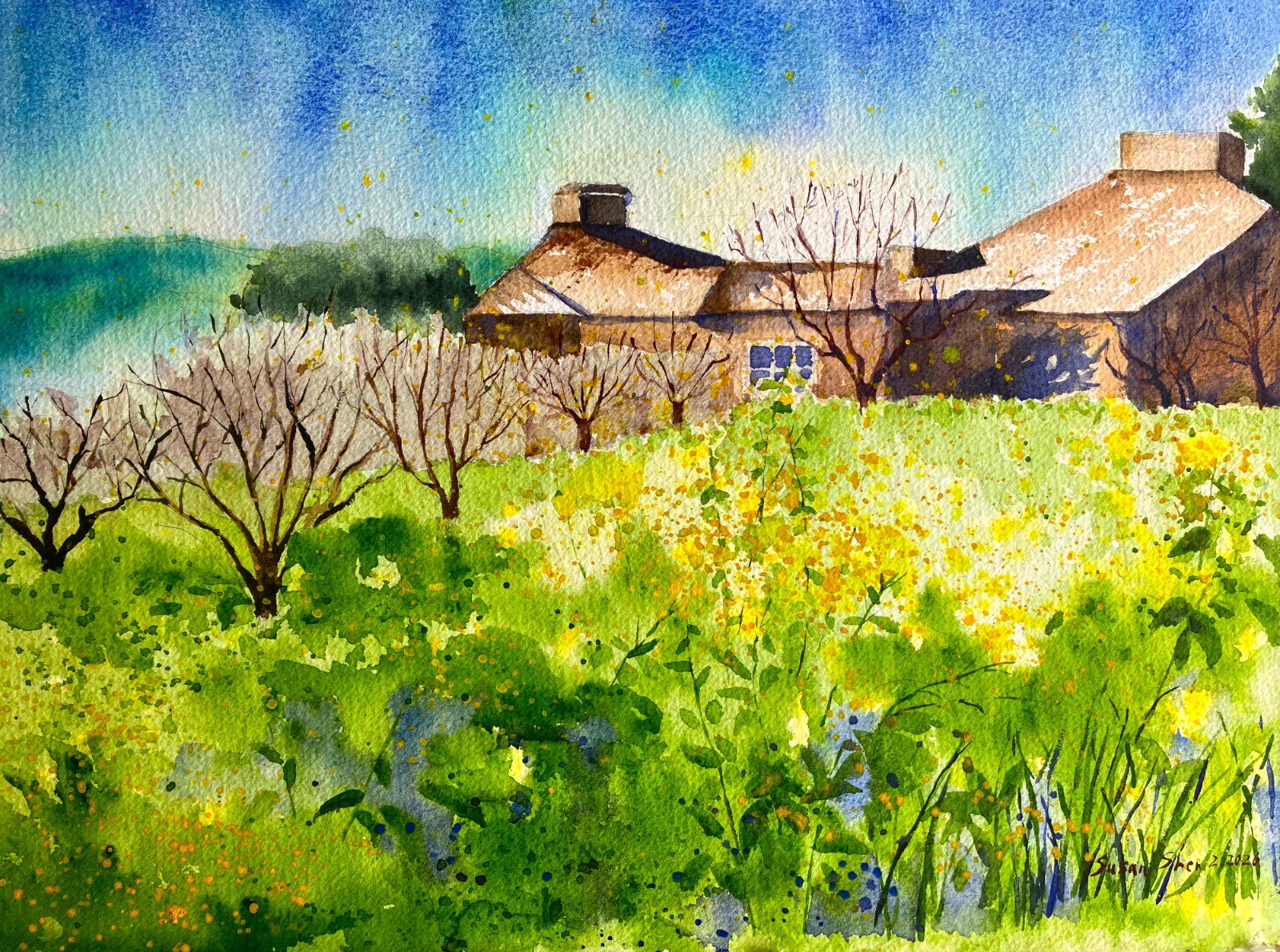 Watercolor Original Painting «Heritage Orchard» 12″ x 16″ NOT A PRINT
