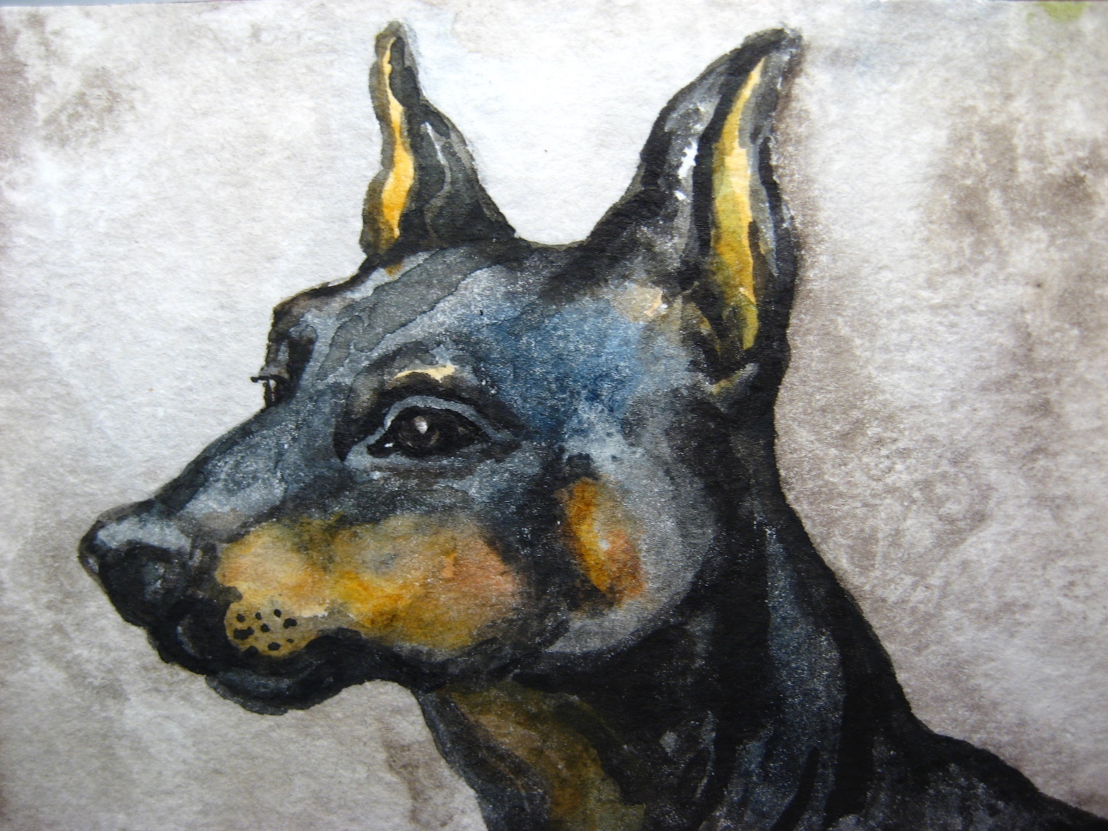 Watercolor Painting Dog Breed Doberman Pinscher Home Pet Animals ACEO Art
