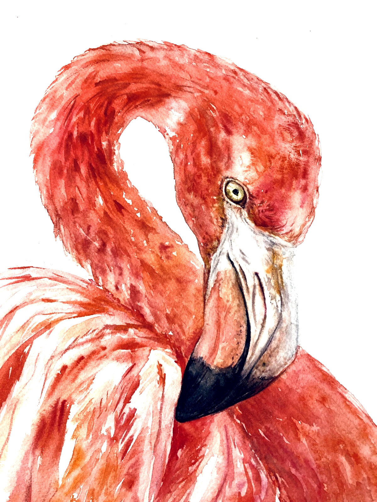 Flamingo Watercolor Original Painting Florida Birds