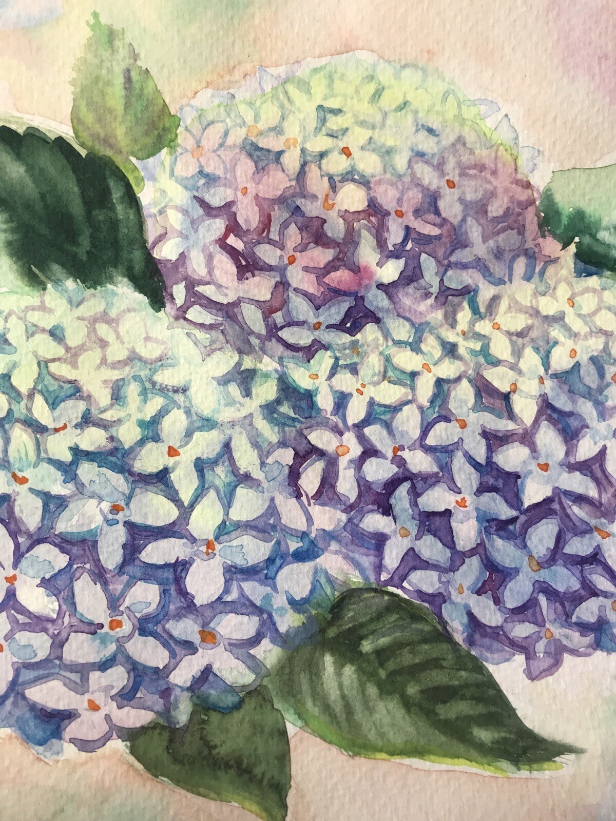 Original Watercolor. Hydrangea Flowers. Blue, Purple Floral Wall Art 9″x12″