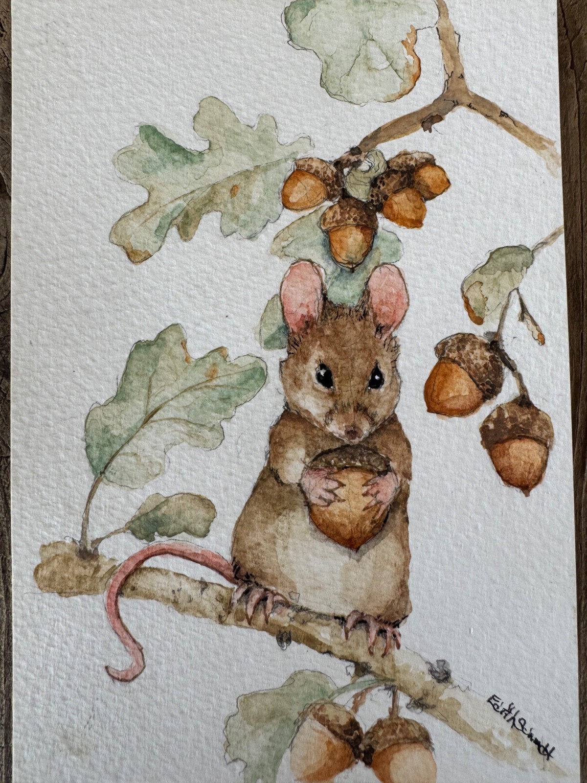 Mouse in tree with acorns origional watercolor painting signed by artist 4.5×6.5