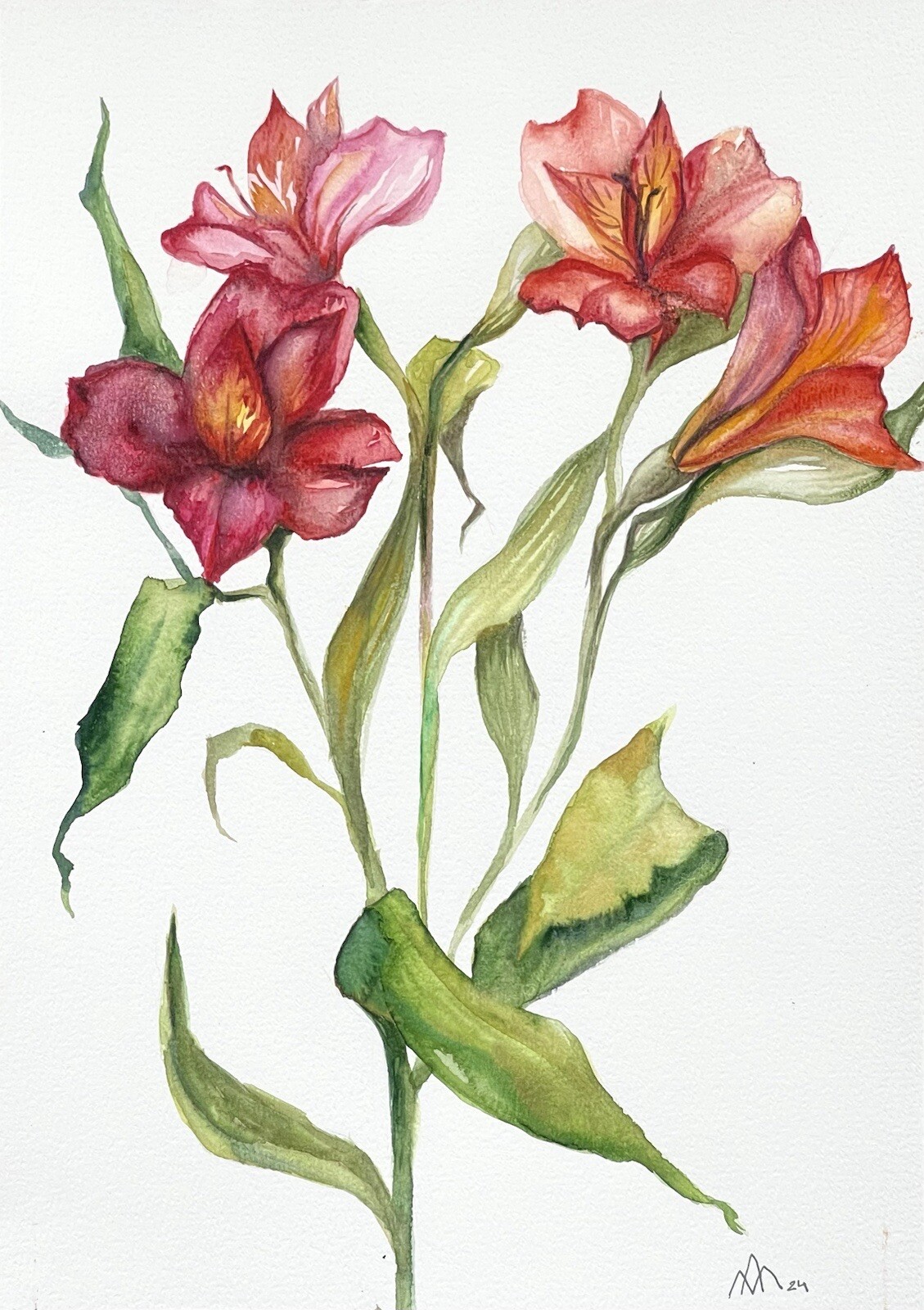 “Red Alstraemeria” Original watercolor painting Ukrainian artist