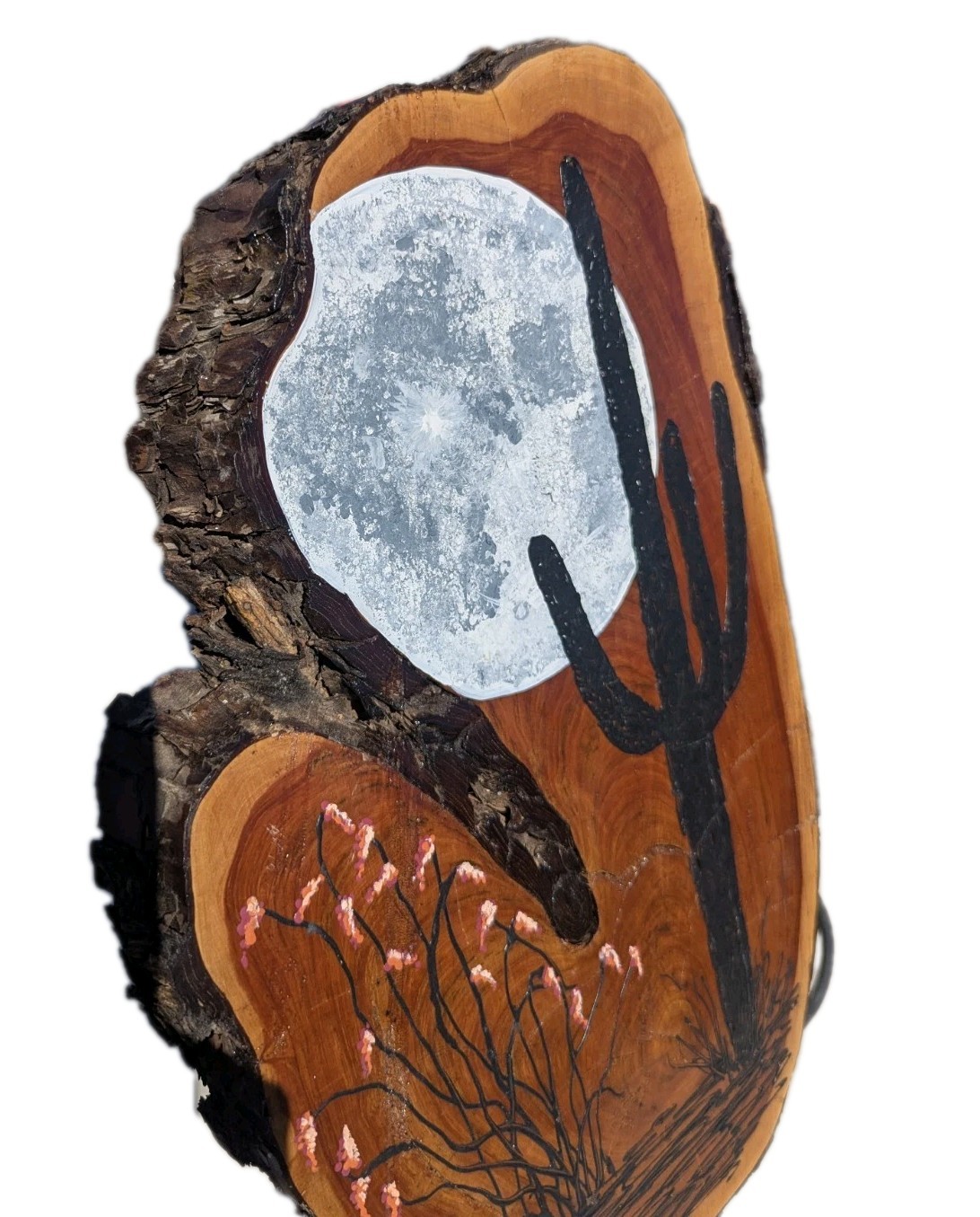 Original Southwest Desert Art Hand Painted on Live Edge Wood Slice Saguaro Moon