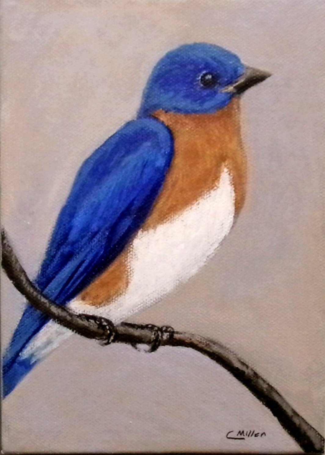 Bluebird Original Bird Painting by Chris Miller 5×7 Wildlife Fine Art Decor