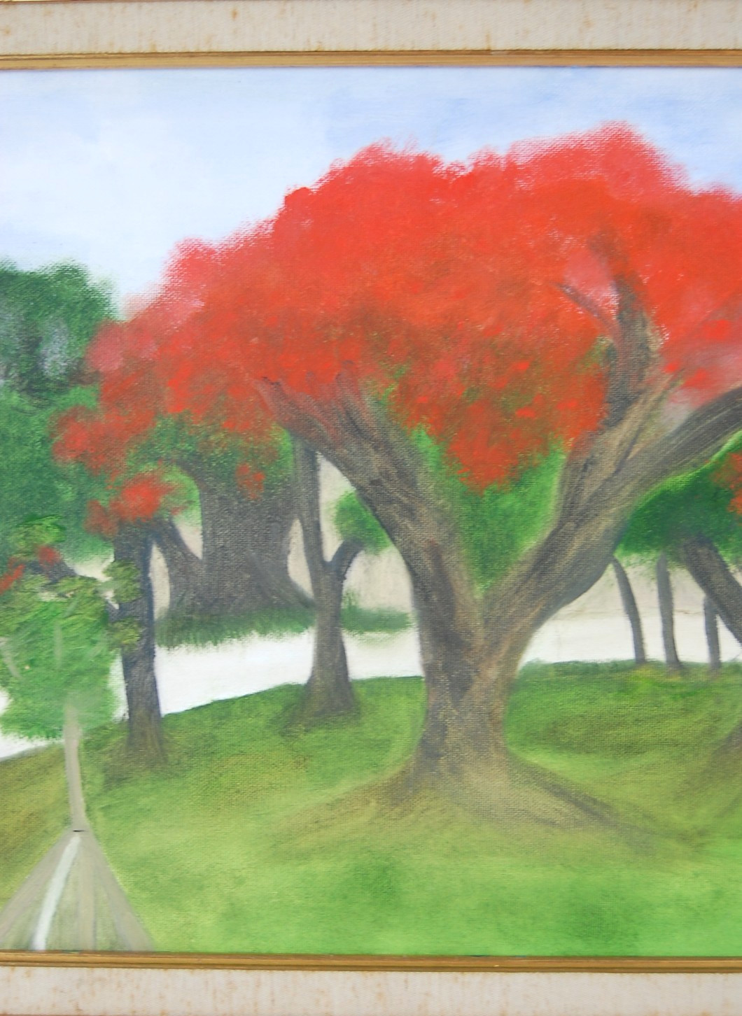 Vtg 80’s Framed Original Oil «Framboyan (Royal Poinciana) Tree Landscape» 20X16