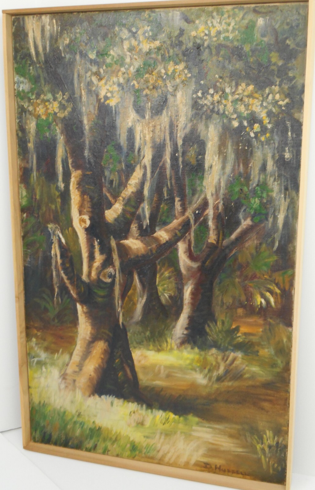 Post Impressionist Florida Mangrove Trees, Spanish Moss Oil on Canvas D. Hussell