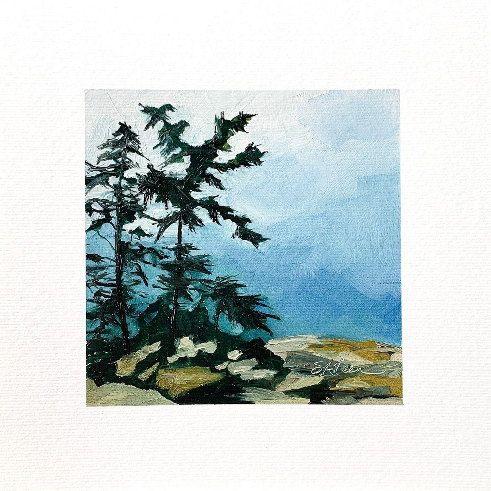 8×8 Maine Original Oil Painting Acadia Pine Trees Cadillac Mountain Moody Signed