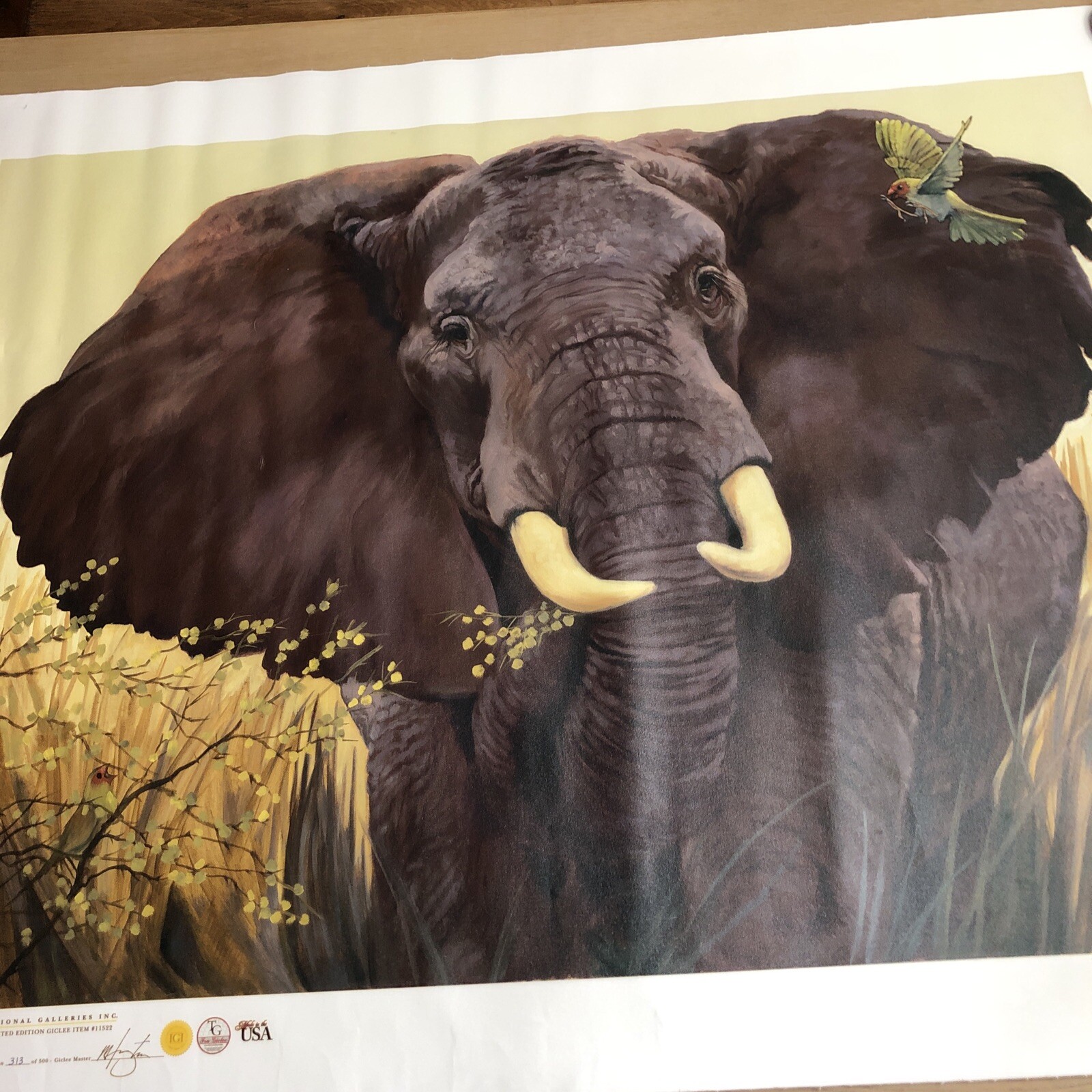 International Galleries Giclee Print Canvas Elephant Painting C. Cherry 29X39”