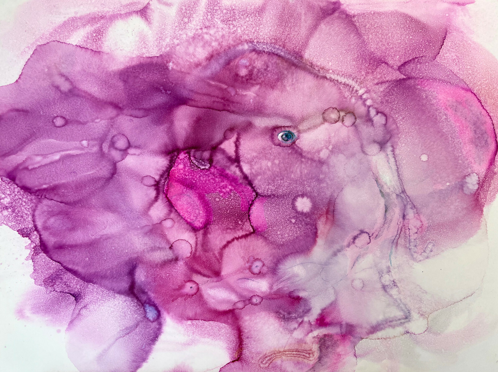 Pink Charm by Olga Lipats, elephant