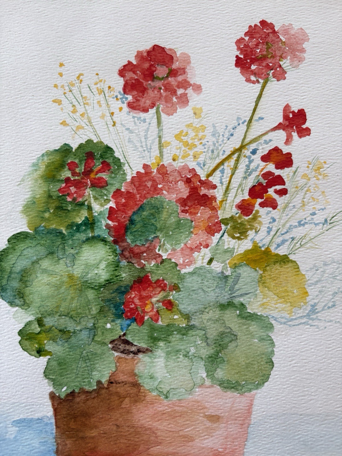 BEAUTIFUL ORIGINAL FRAMED GERANIUM WATERCOLOR PAINTING BY CHLOE CORRELL SIGNED