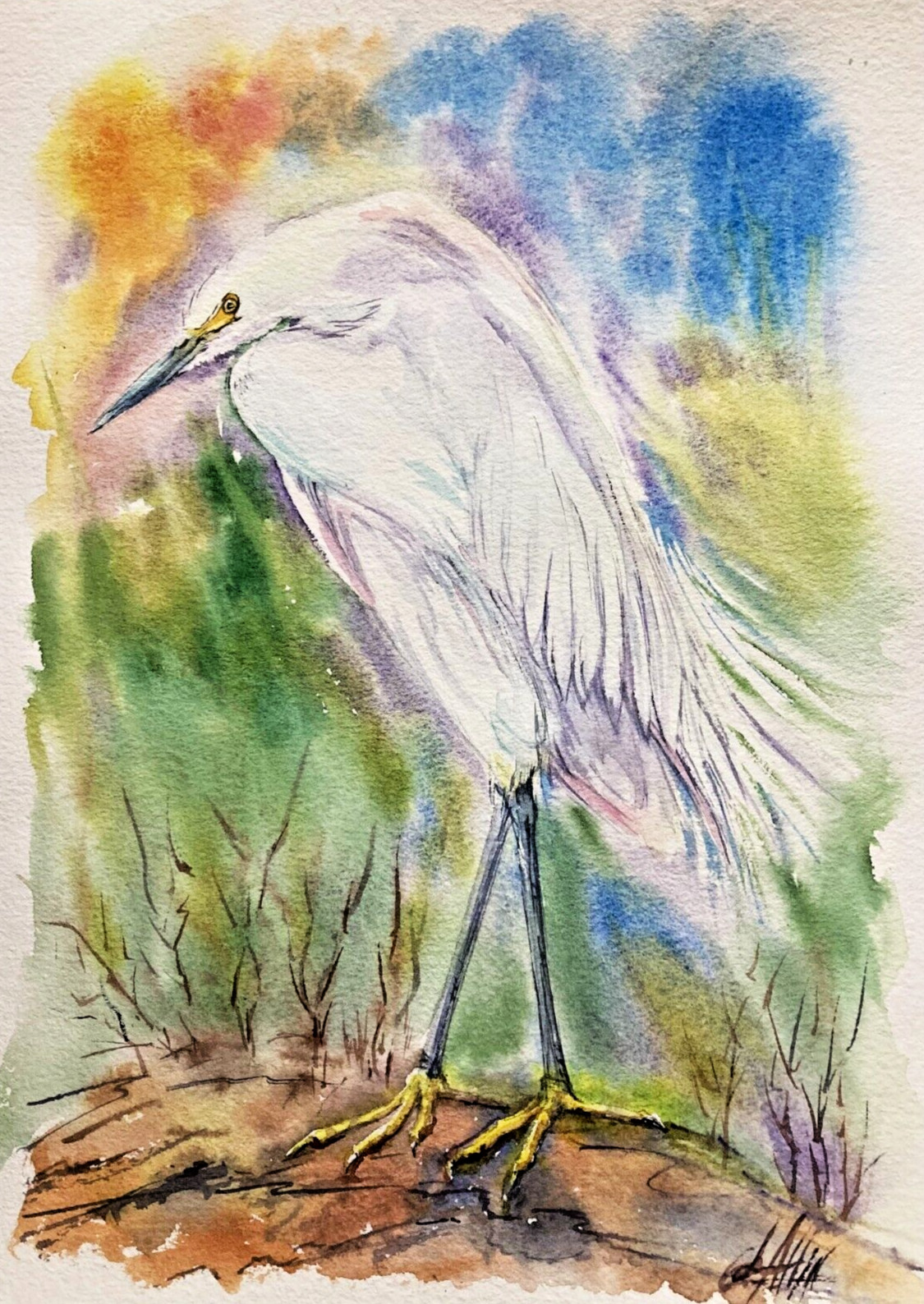 Snowy Egret Bird Watercolor Original Painting