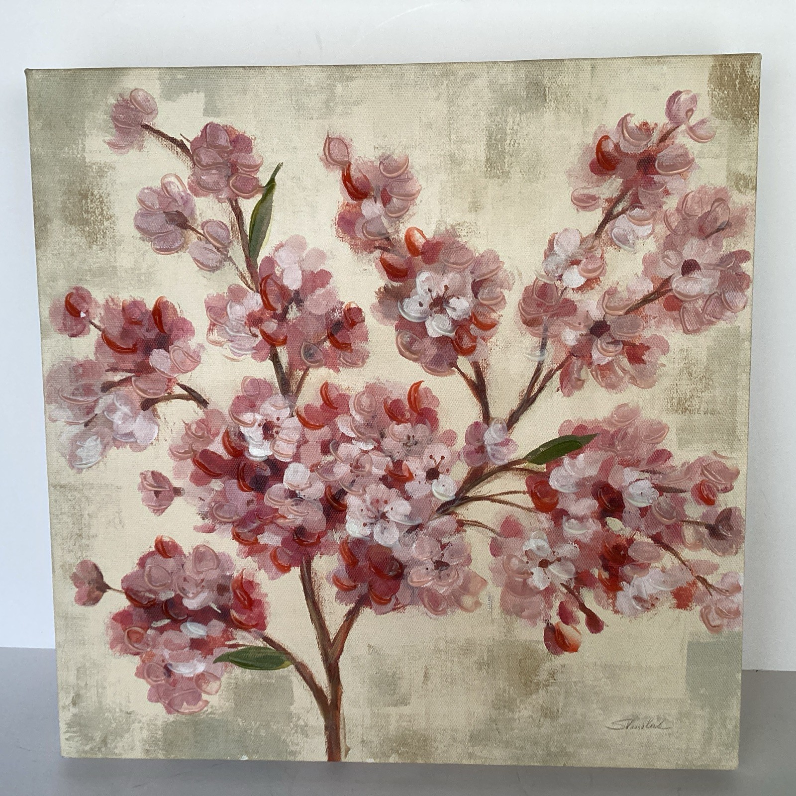Silvia Vassileva Cherry Blossom Floral Canvas Print Wild Apple Graphics 12”