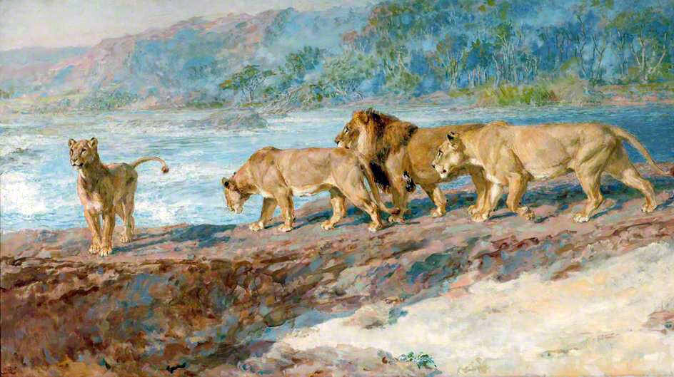 Oil painting Briton Riviere On the Bank of an African River wild animals lions