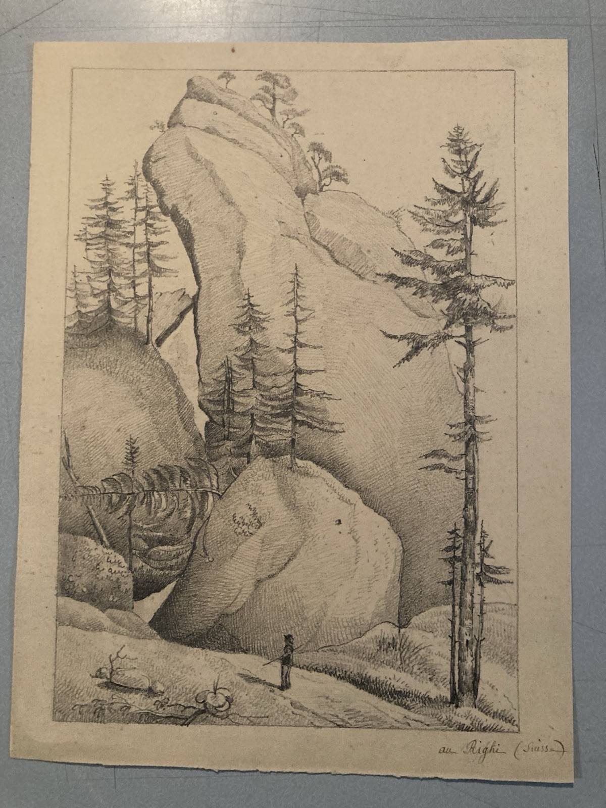 Very Nice Drawing Xixth 1830 Rocher Pencil Swiss? Shaft Foret Antique Alps Art