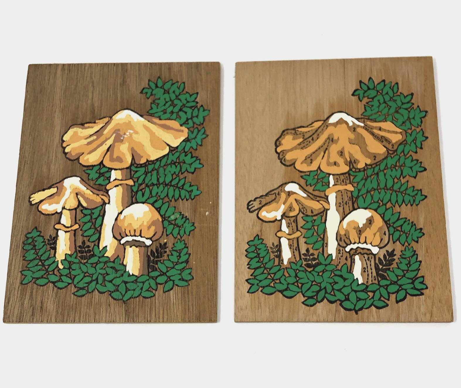 Vintage Mushrooms Paint by Number on Wood Plaques Unfinished 1970’s Set of 2