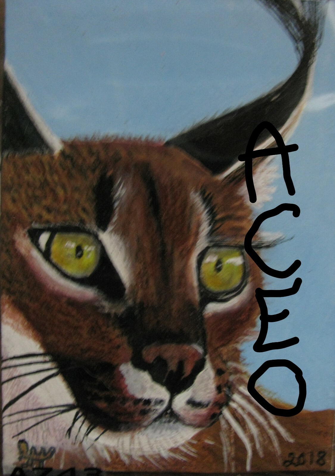 A496 «SNUBNOSED MONKEY» ORIGINAL ACRYLIC ACEO PAINTING BY LJH
