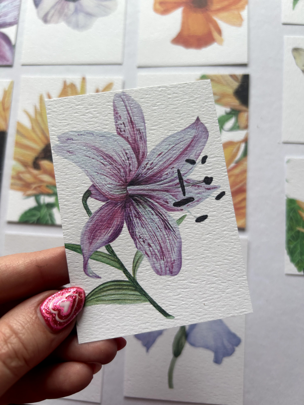 ACEO Edition- Print Sawyer Crane Flower Watercolor Pink Tiger Lily Spotted