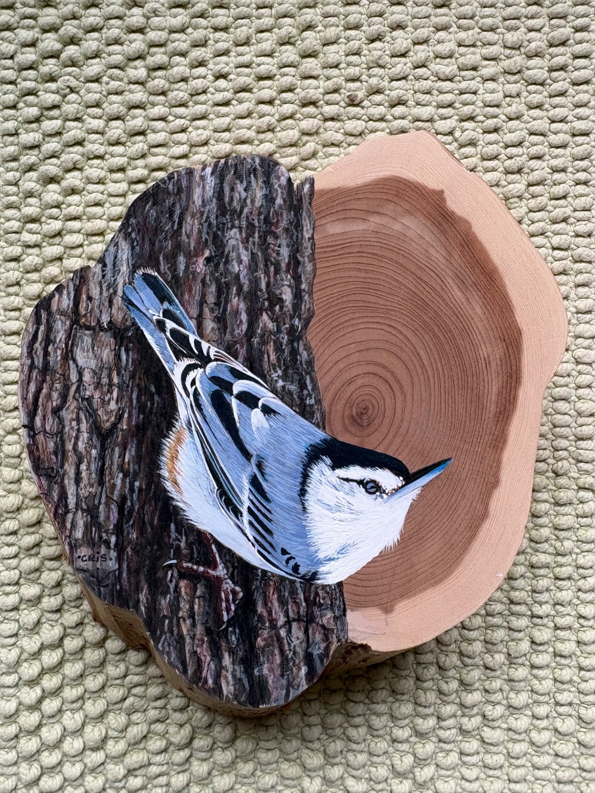 original acrylic and ink painting on cedar by Cris Arbo: white breasted nuthatch