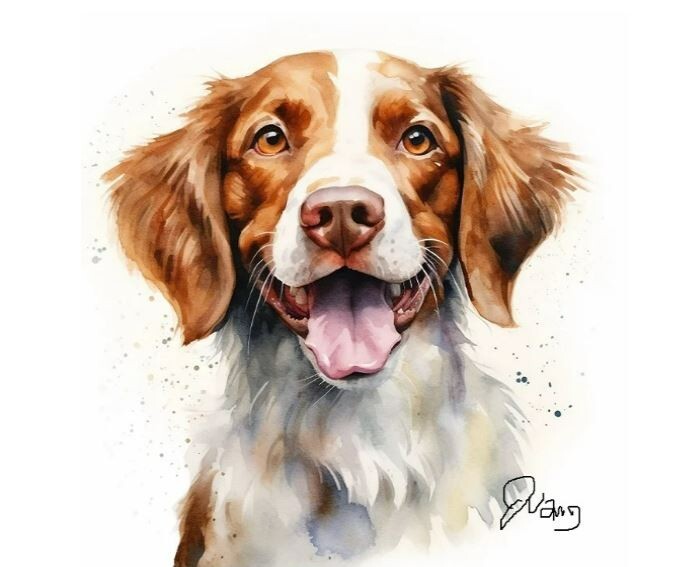 Watercolor BRITTANY Springer SPANIEL PAINTING On Fine Art Paper Signed