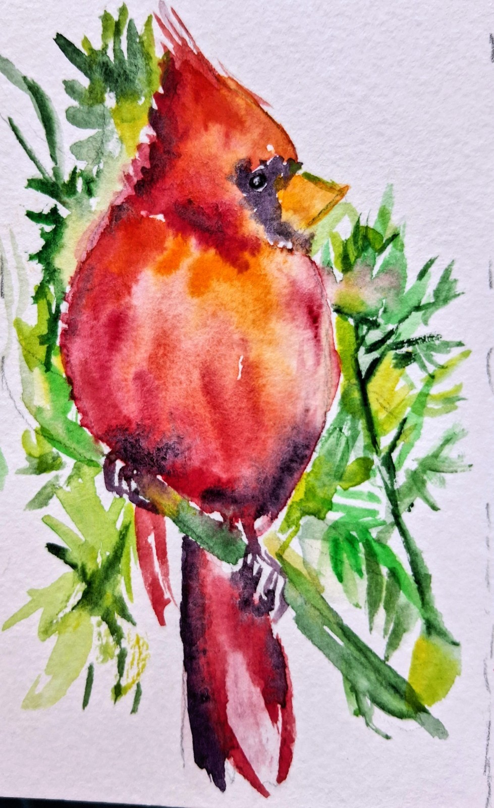 Bird art,original Watercolor painting Signed, red Christmas cardinal bird 5×3″