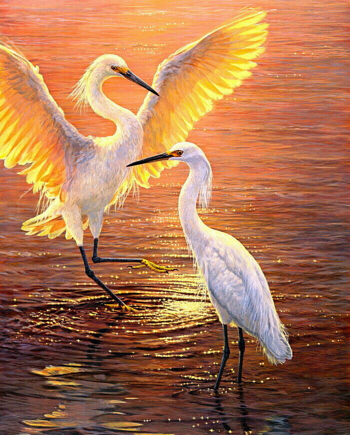 Oil painting High-quality Handpainted Animals Waterfowl Egret Wall art on Canvas