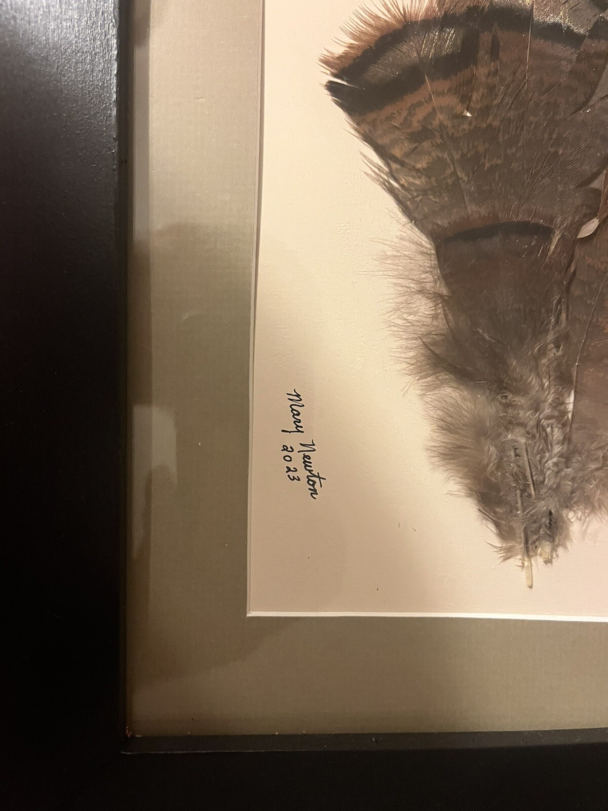 Frames Turkey Feather Painting