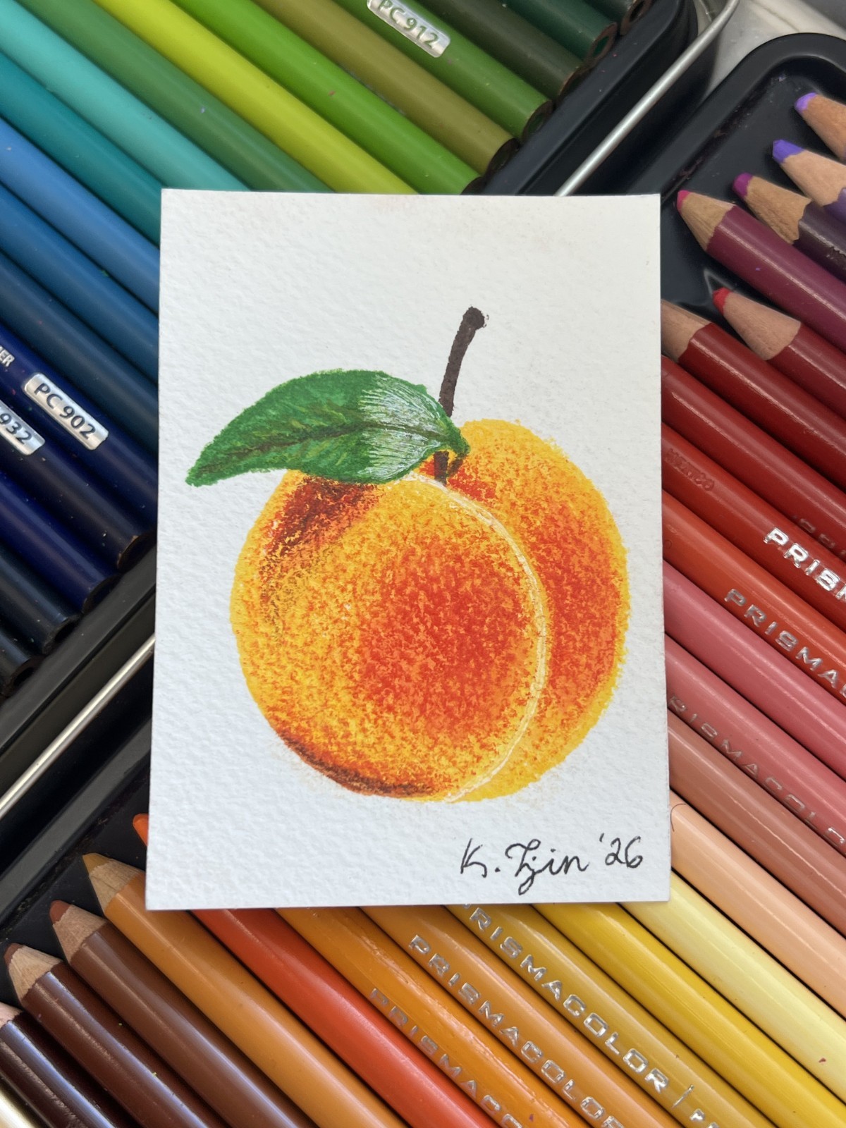 ACEO original art cards Colored Pencil. She’s a Fussy Peach